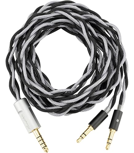 吹割 (Fukiwari) 4.4mm5極バランス/3.5mm3極×2 Amazon.co.jp: Wisetech NOBUNAGA Labs 吹割(Fukiwari